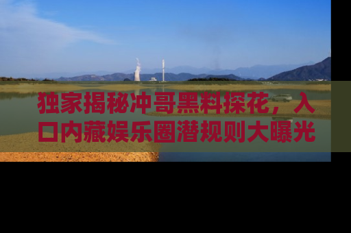 独家揭秘冲哥黑料探花，入口内藏娱乐圈潜规则大曝光