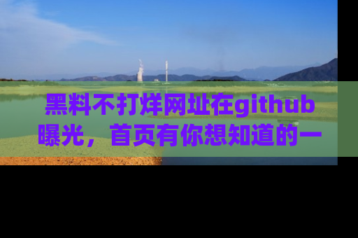 黑料不打烊网址在github曝光，首页有你想知道的一切幽默趣事，快来看看