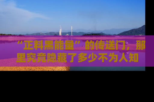 “正料黑能量”的传送门,那里究竟隐藏了多少不为人知的秘密?