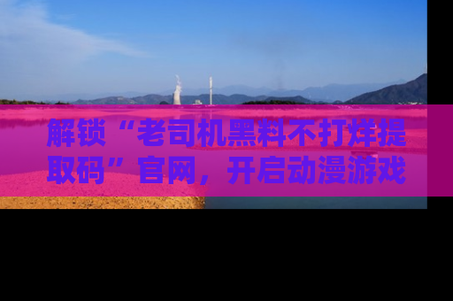 解锁“老司机黑料不打烊提取码”官网，开启动漫游戏的新次元之旅！