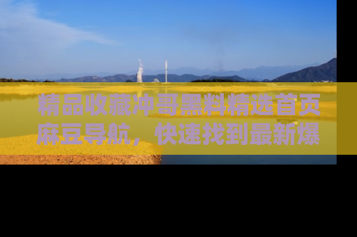 精品收藏冲哥黑料精选首页麻豆导航，快速找到最新爆料
