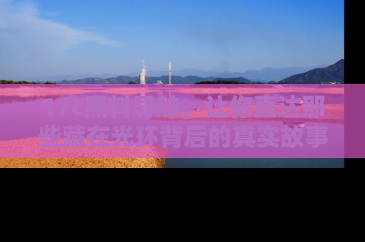 17c黑料导航,让你直达那些藏在光环背后的真实故事
