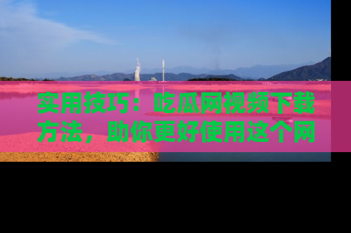 实用技巧：吃瓜网视频下载方法，助你更好使用这个网站