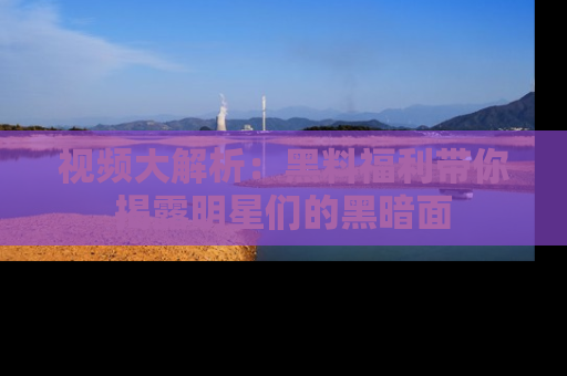 视频大解析：黑料福利带你揭露明星们的黑暗面