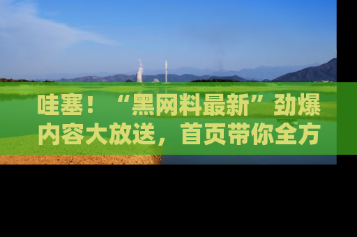 哇塞！“黑网料最新”劲爆内容大放送，首页带你全方位了解哦，小可爱们
