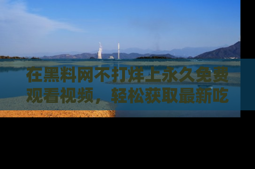 在黑料网不打烊上永久免费观看视频,轻松获取最新吃瓜资讯!